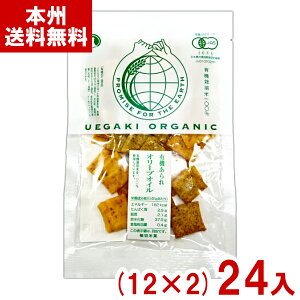 A_ĉ 45g L@ I[uIC (12×2)24 (I[KjbN َq ׂ ) (2P[X̔)(Y80) ({B)