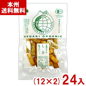 A_ĉ 45g L@  (12×2)24 (I[KjbN َq  ׂ ) (2P[X̔)(Y80) ({B)