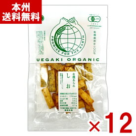 植垣米菓 有機あられ しお 45g×12入 (オーガニック お菓子 塩 せんべい あられ おやつ) (ケース販売)(Y80) (本州送料無料)