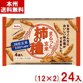 栗山米菓 88g まるっと玄米柿の種 (12×2)24入 (2ケース販売)(Y10) (本州送料無料)