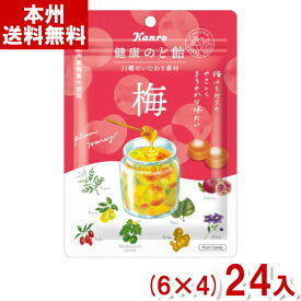 カンロ 90g 健康のど飴 梅 (6×4)24入 (のどあめ キャンディ) (Y80) (本州送料無料)