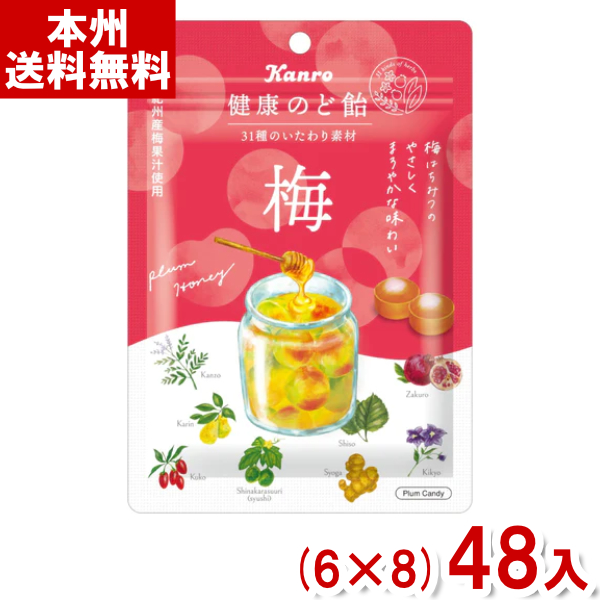 カンロ 90g 健康のど飴 梅 (6×8)48入 (ケース販売)(Y10) (本州送料無料)