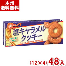 ブルボン 9枚 塩キャラメルクッキー (焼菓子 箱 景品 販促 プレゼント) (本州送料無料)