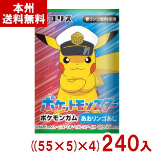 RX |PK ((55+5)×4)240 (|PbgX^[ sJ`E ʉَq َq ii ܂Ƃߔ) (Y80) ({B)