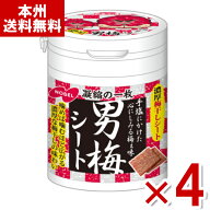 ノーベル 男梅シート ボトルタイプ 75g×4入 (熱中症対策 塩分補給 うめ 梅ぼし お菓子 まとめ買い) (Y60…