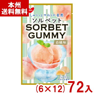 �m�[�x�� 50g �\���x�b�g�O�~ ������ (6×12)72�� (���O�~ �s�[�`�O�~ ���َq �i�i �C�x���g) (�P�[�X�̔�)(Y12) (�{�B��������)