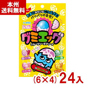 m[x 40g O~GbO t[c\[_A\[g (6×4)24 ( O~ َq O~ ii ܂Ƃߔ) (Y80) ({B)