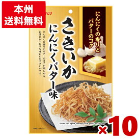 なとり さきいかにんにくバター味 10入 (Y80)(本州送料無料)(おつまみ)