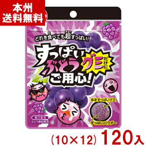 `[CK 28g ςԂǂO~ɂpS (10×12)120 (O[v َq) (P[X̔) (Y10) ({B)