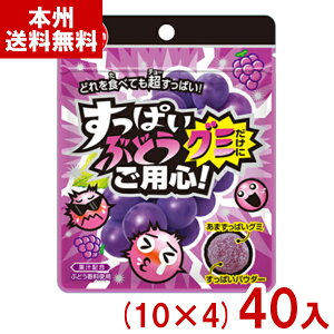 `[CK 28g ςԂǂO~ɂpS (10×4)40 (O[v O~ ʉَq َq) (Y80) ({B)