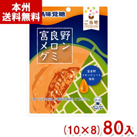 味覚糖 40g ご当地PREMIUM 富良野メロングミ (10×8)80入 (北海道 メロン グミ お菓子) (ケース販売)(Y10) (本州送料無料)