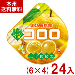 o 40g R \I (6×4)24 (Ԍ iV Ȃ O~ َq  ii ܂Ƃߔ) (Y80) ({B)