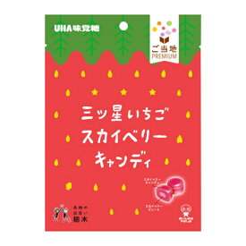 味覚糖 ご当地PREMIUM 三ツ星いちご スカイベリーキャンディ 79g×6入 (期間限定 苺 イチゴ 飴 お菓子 栃木県 景品) (賞味期限2024.12月末)*