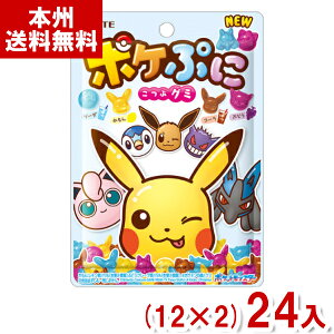 be 80g |PՂ (12×2)24 (A\[g O~ |P sJ`E َq  ii ΂܂) (Y80) ({B)