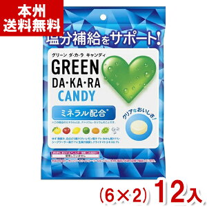 ロッテ 60g GREEN DA・KA・RAキャンディ 袋 (6×2)12入 (熱中症対策 飴 キャンディ お菓子) (Y80) (本州送料無料)