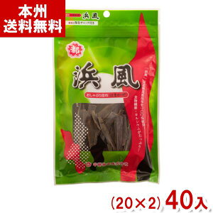 앨Y 22g Ԃ肱ԕl (20×2)40 (2P[X̔) (Y10) ({B)