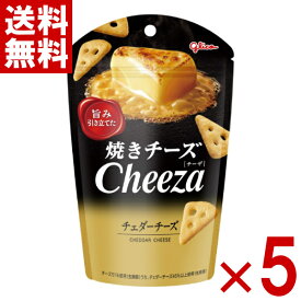 江崎グリコ 焼きチーズチーザ チェダーチーズ 32g×5入 (CP) (賞味期限2026.8月末) (メール便全国送料無料)