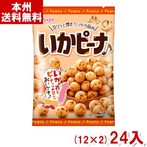 t 89g S s[i (12×2)24 (َq ܂) (Y10) ({B)