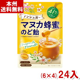 春日井 65g ノンシュガー マヌカ蜂蜜のど飴 (6×4)24入 (Y80) (本州送料無料)