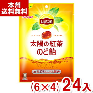 t 70g vg z̍ĝǈ (6×4)24 (̂ǃPA  Lf[ َq ii ܂Ƃߔ) (Y80) ({B)