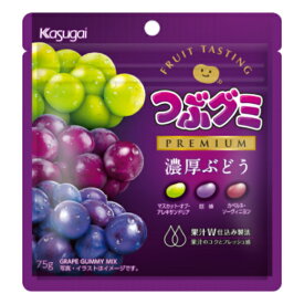 春日井製菓 つぶグミPREMIUM 濃厚ぶどう 75g×10袋入 (つぶグミプレミアム) (new)