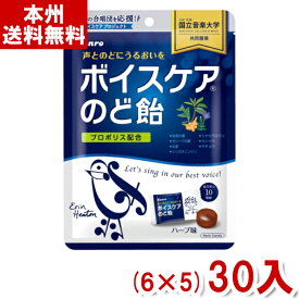 カンロ ボイスケアのど飴 個包装タイプ 70g (6×5)30入 (Y80) (本州送料無料)