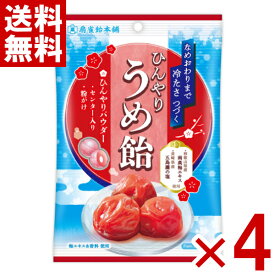 扇雀飴本舗 ひんやりうめ飴 70g×4袋セット (ポイント消化) (np-3) (賞味期限2027.2月末) (メール便全国送料無料)