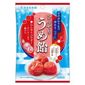 扇雀飴本舗 ひんやりうめ飴 70g×10入 (梅 うめ ウメ キャンディ 飴 あめ 個包装 お菓子 景品 ばらまき まとめ買い)