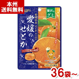 扇雀飴本舗 34g 贅沢なグミ 愛媛のせとか (みかん グミ お菓子 おやつ) (本州送料無料)