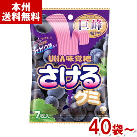 味覚糖 さけるグミ 巨峰 (グミ お菓子 おやつ まとめ買い) (本州送料無料)