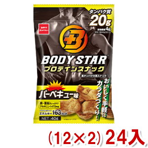 おやつカンパニー BODY STAR プロテインスナック バーベキュー味 43g (12×2)24入 (Y10) (ボディスター protein) (本州送料無料)