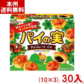 ロッテ パイの実 チョコレート (10×3)30入 (本州送料無料)