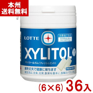 be 133g LVg[K tbV~g t@~[{g (6×6)36 (یpHi e) (P[X̔) (Y10) ({B)