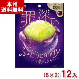 サクマ 50g 罪深いぶどうキャンディ (6×2)12入 (キャンディ 飴) (Y80) (本州送料無料)