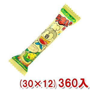 ₨ ܂_ R[|^[W (30×12)360{ (Y12) ({B)