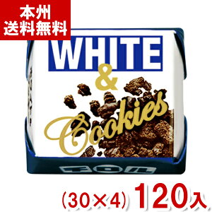 ``R zCg&NbL[ (30×4)120 (ʉَq `R[g َq  ii ܂Ƃߔ) (Y60) ({B)