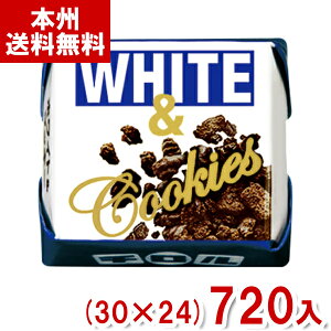 ``R zCg&NbL[ (30×24)720 (ʉَq `R[g َq  ii) (Y80)(P[X̔) ({B)