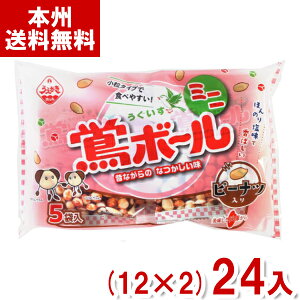 A_ĉ 96g {[ ~j s[ibc (12×2)24 (ĉ Ƃ  ) (Y10)(2P[X̔) ({B)