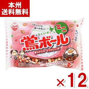 A_ĉ {[ ~j s[ibc 96g×12 (ĉ Ƃ  ) (Y10)(P[X̔) ({B)