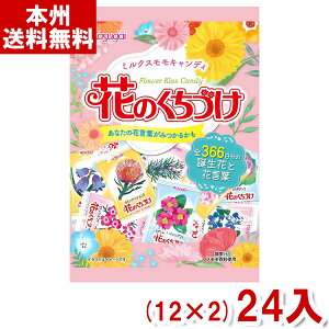 t䐻 135g Ԃ̂Â (12×2)24 ( LfB َq ܂Ƃߔ) (Y10) ({B)