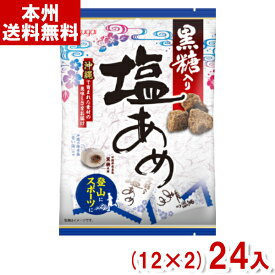 春日井 79g 黒糖入り塩あめ (12×2)24入 (塩飴 塩分補給) (Y80) (本州送料無料)
