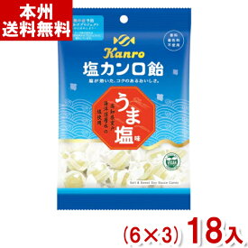 カンロ 140g 塩カンロ飴 (6×3)18入 (塩飴 キャンディ) (Y80) (本州送料無料)