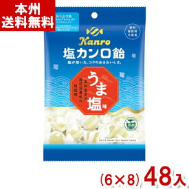 カンロ 140g 塩カンロ飴 (6×8)48入 (Y10)(ケース販売) (本州送料無料)