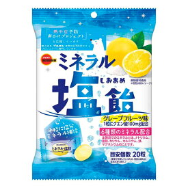 ブルボン ミネラル塩飴 94g×6入 (キャンディ 塩分補給 熱中症対策 飴 キャンディ お菓子 おやつ ばらまき まとめ買い)