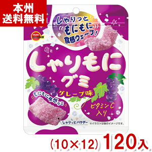 u{ 57g ɃO~ O[v (10×12)120 (O~ َq  ii ̑) (Y12)(P[X̔) ({B)