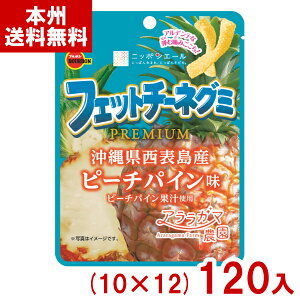 (ܖ2026.1) u{ 50g tFbg`[lO~ PREMIUM s[`pC (10×12)120 (َq ii) (P[X̔)(Y12) () ({B)*