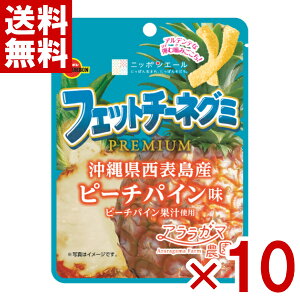 (ܖ2026.1) u{ tFbg`[lO~ PREMIUM s[`pC 50g×10 (|Cg) (CP) () ([֑S)*