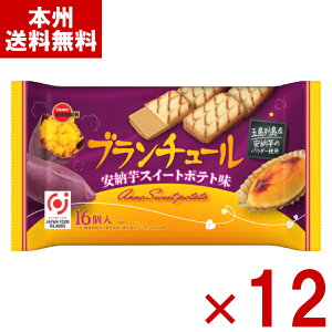 u{ u`[ [XC[g|eg 16×12 (ŒZo) (Ԍ َq ii) (P[X̔)(Y10) () ({B)*