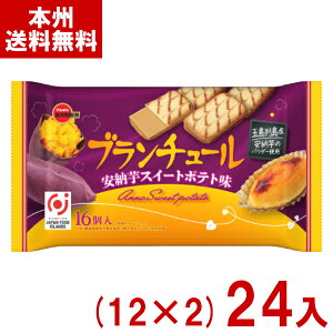 u{ 16 u`[ [XC[g|eg (12×2)24 (ŒZo) (Ԍ َq) (2P[X̔)(Y12) () ({B)*