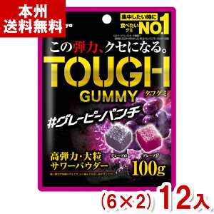 Jo 100g ^tO~ O[s[p` (6×2)12 (n[hO~ O~ َq  ܂Ƃߔ) (Y80) ({B)
